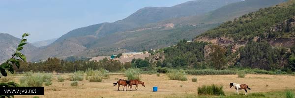 Turismo rural por La Alpujarra